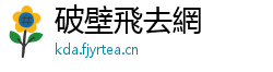 破壁飛去網